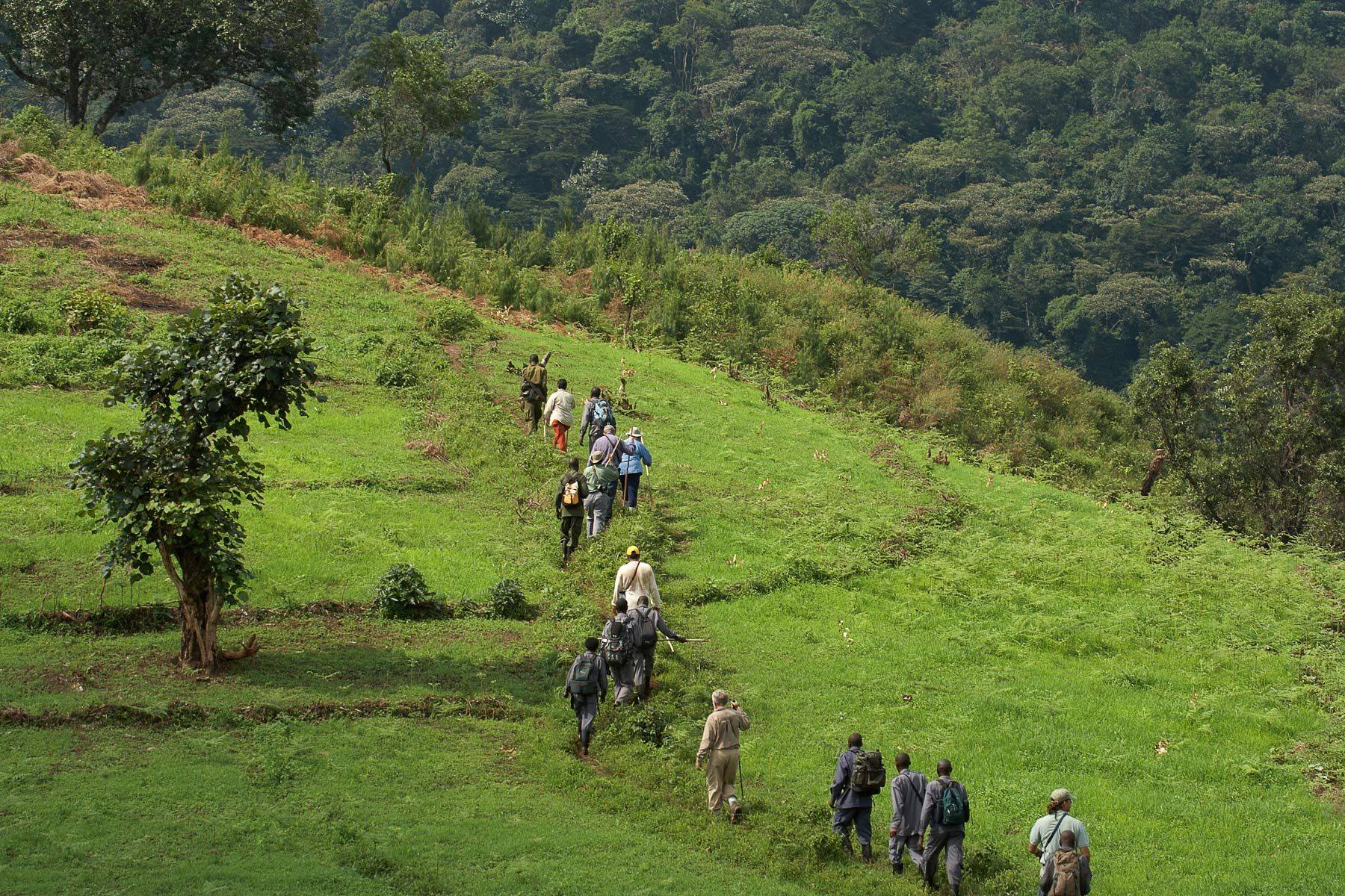 Bwindi Trekkers Uganda