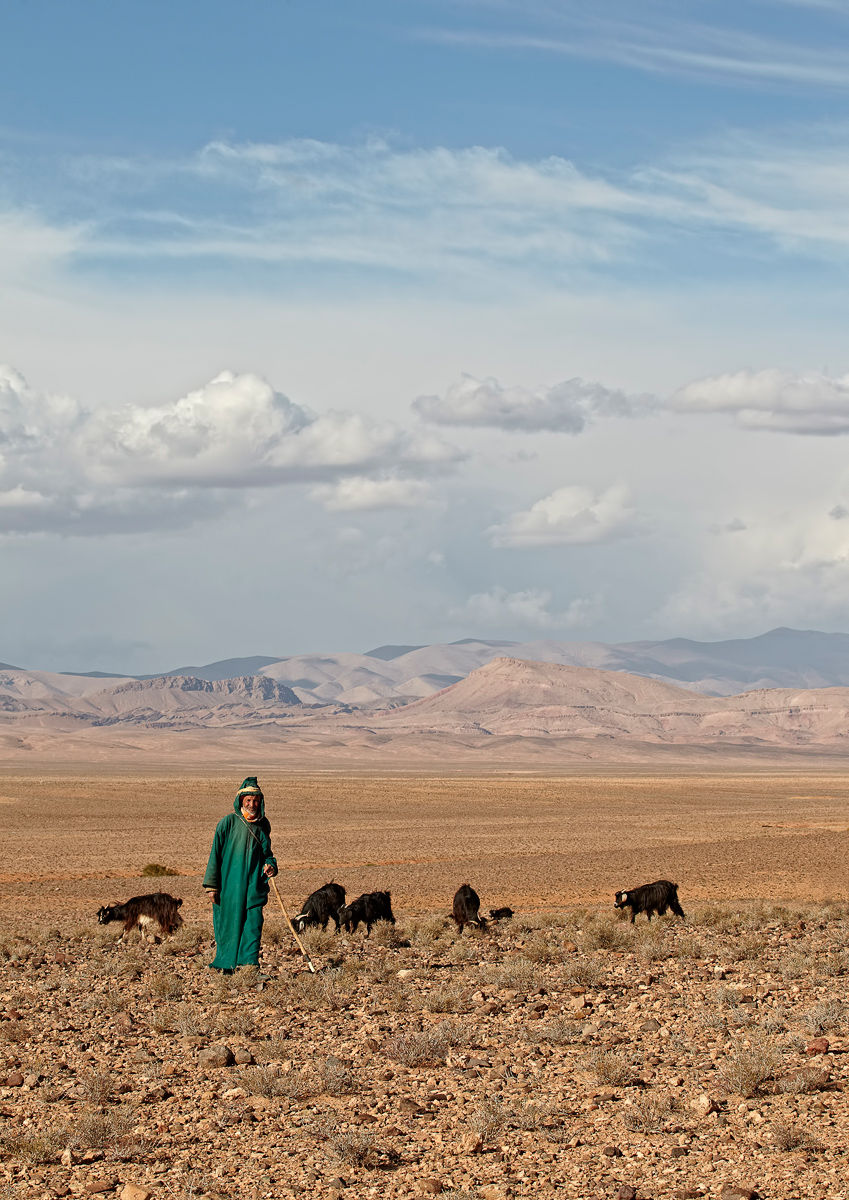 Moroccan Shepherd
