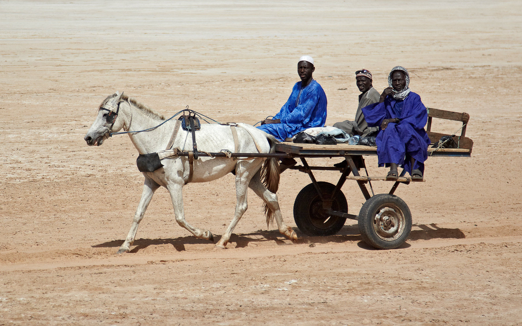 Senegalese Charette